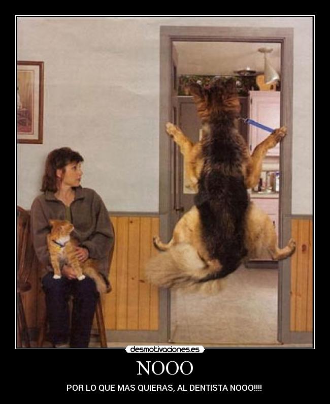 NOOO - POR LO QUE MAS QUIERAS, AL DENTISTA NOOO!!!! 