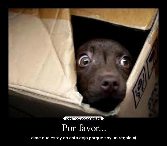 Por favor... - 