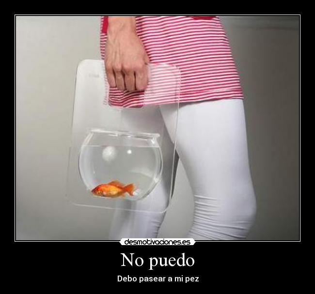No puedo - Debo pasear a mi pez