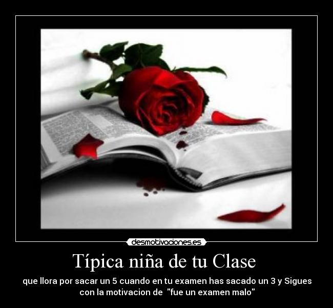 Típica niña de tu Clase  - que llora por sacar un 5 cuando en tu examen has sacado un 3 y Sigues
con la motivacion de  fue un examen malo