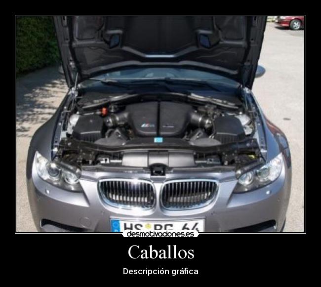 Caballos - Descripción gráfica