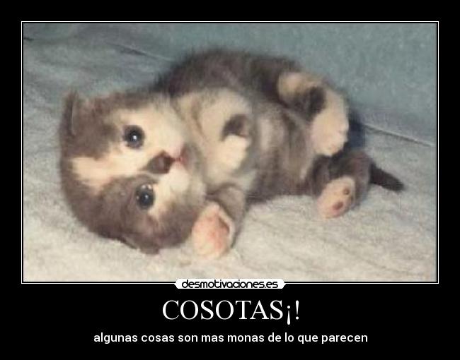 COSOTAS¡! - 