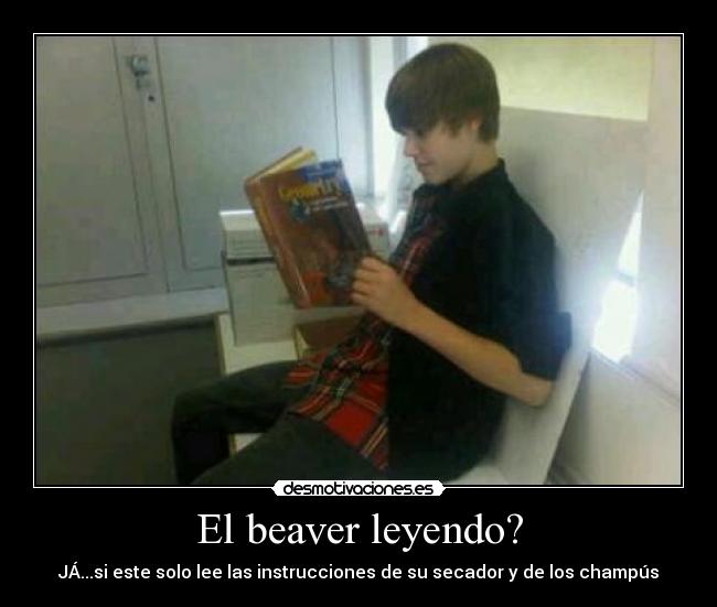 El beaver leyendo? - JÁ...si este solo lee las instrucciones de su secador y de los champús