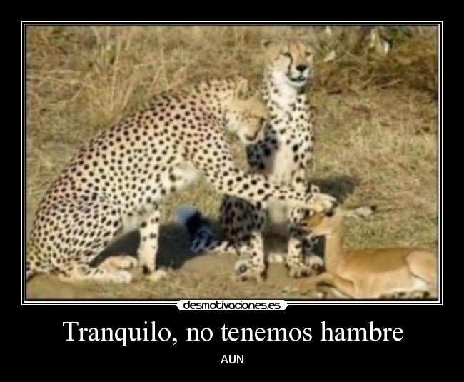 Tranquilo, no tenemos hambre - AUN
