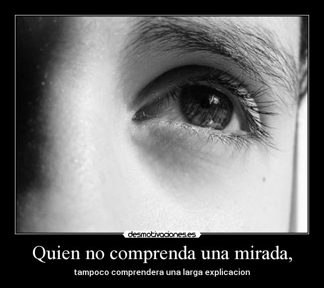 Quien no comprenda una mirada, - tampoco comprendera una larga explicacion