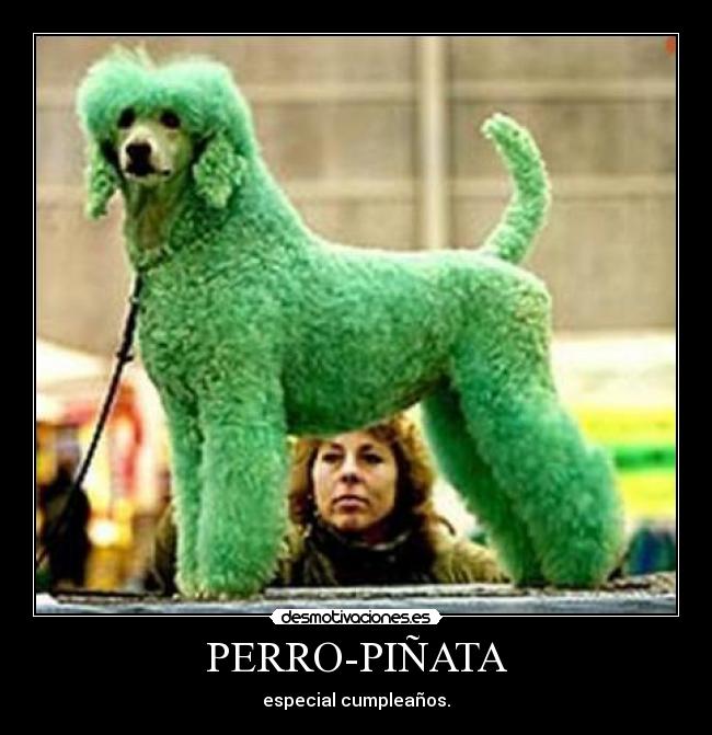 PERRO-PIÑATA - especial cumpleaños.