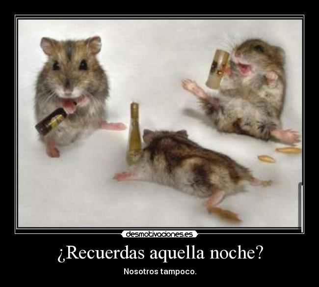 ¿Recuerdas aquella noche? - 