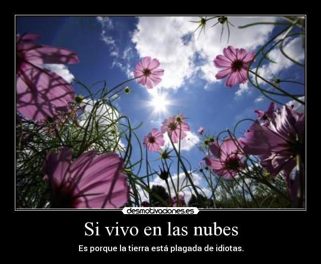 Si vivo en las nubes -