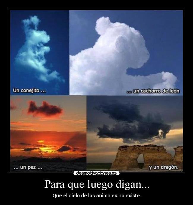 Para que luego digan... - Que el cielo de los animales no existe.