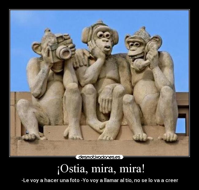 ¡Ostia, mira, mira! - -Le voy a hacer una foto -Yo voy a llamar al tío, no se lo va a creer