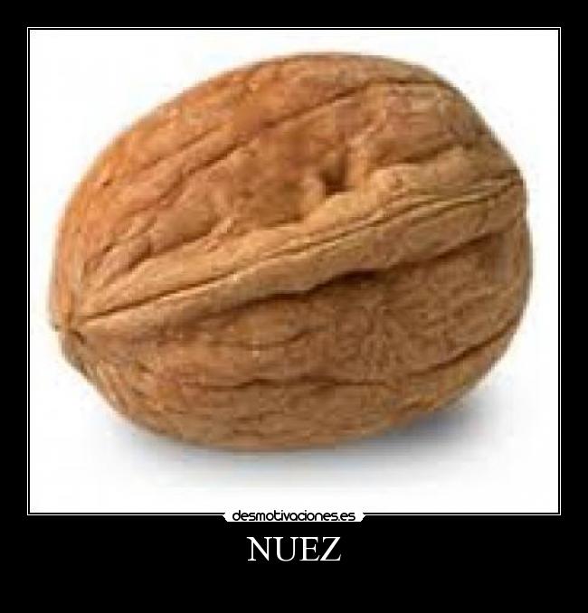 NUEZ -