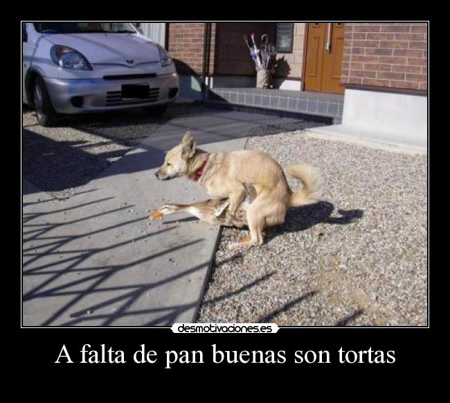 A falta de pan buenas son tortas -