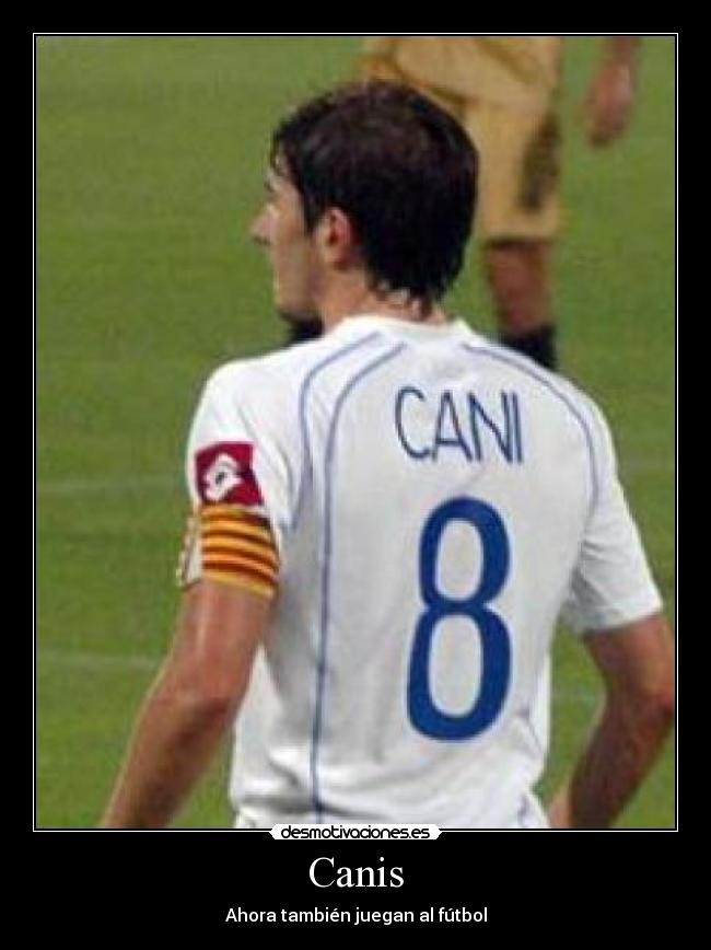 Canis - Ahora también juegan al fútbol