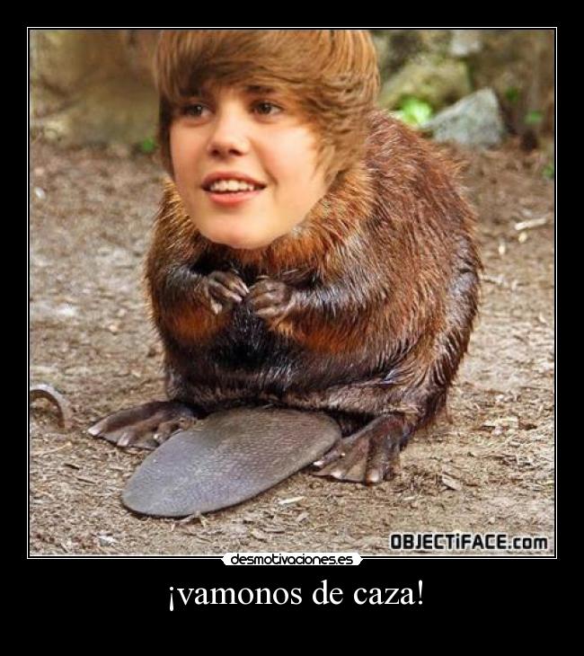 ¡vamonos de caza! -