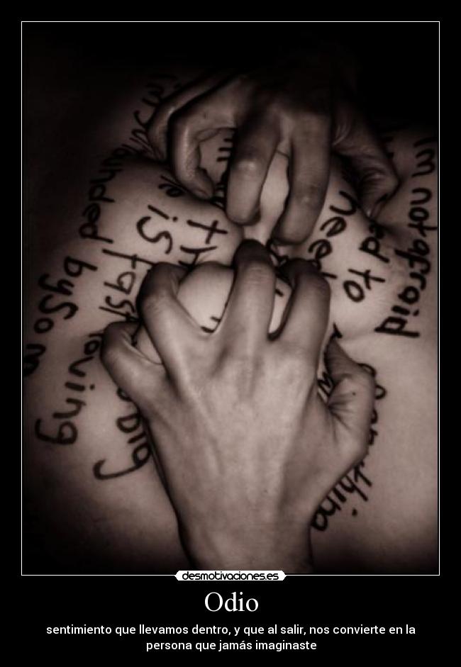 Odio - 