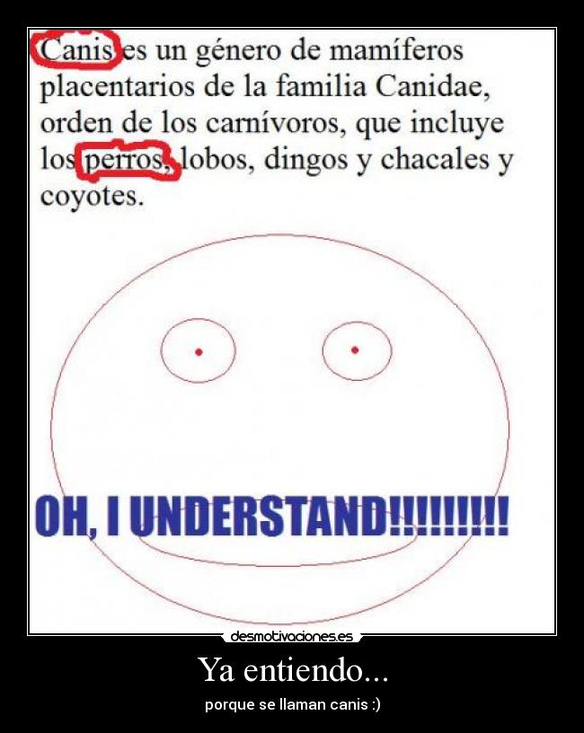 Ya entiendo... - porque se llaman canis :)