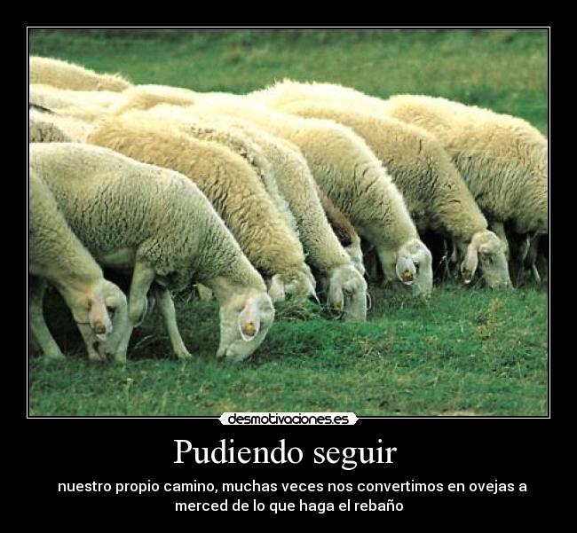 Pudiendo seguir -