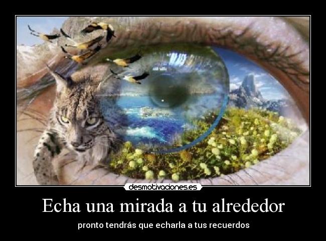 carteles naturaleza desmotivaciones