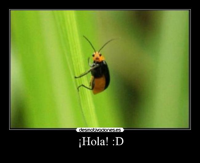 ¡Hola! :D -