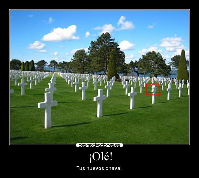 ¡Olé! - Tus huevos chaval.