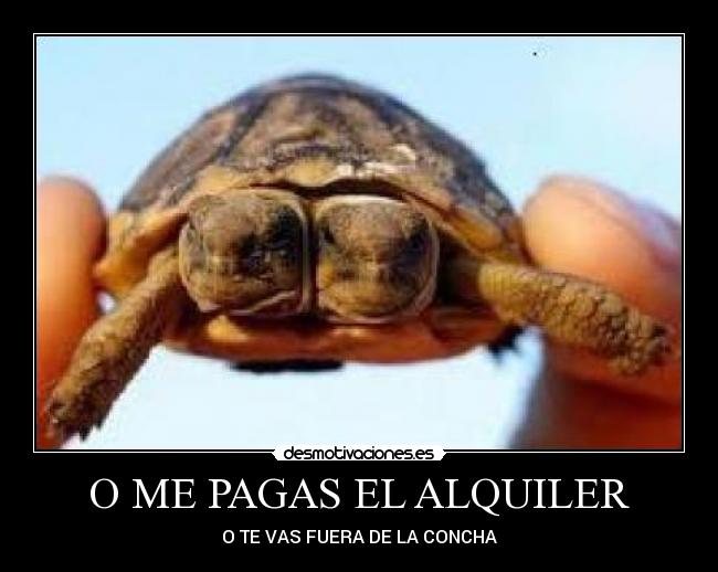 O ME PAGAS EL ALQUILER - O TE VAS FUERA DE LA CONCHA