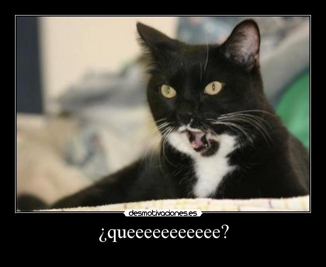 carteles walt_k desmotivaciones