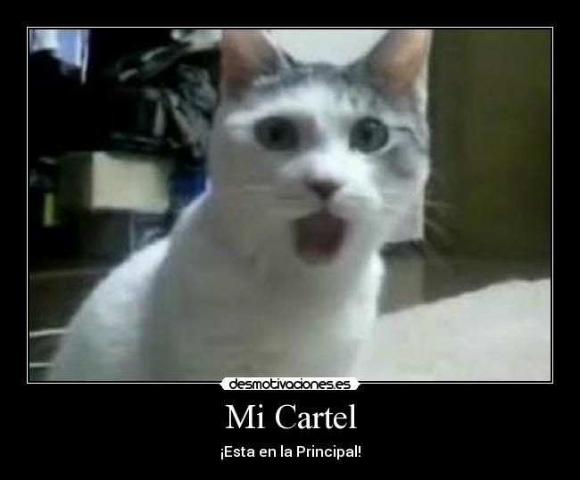 Mi Cartel -