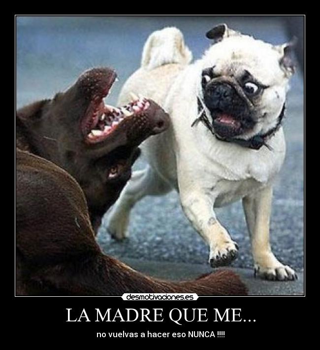 LA MADRE QUE ME... -