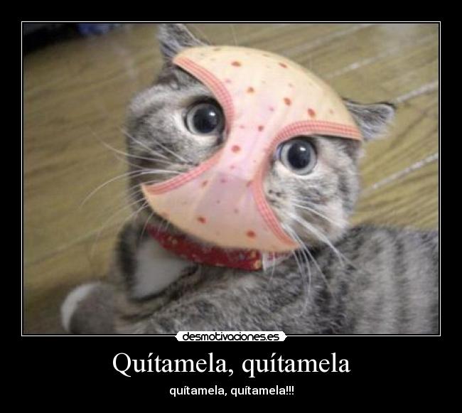 Quítamela, quítamela - quítamela, quítamela!!!
