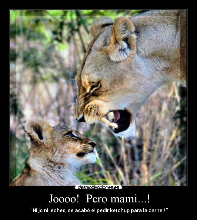 Joooo!  Pero mami...! -  Ni jo ni leches, se acabó el pedir ketchup para la carne ! 