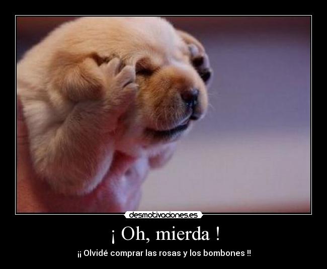 ¡ Oh, mierda ! - ¡¡ Olvidé comprar las rosas y los bombones !!