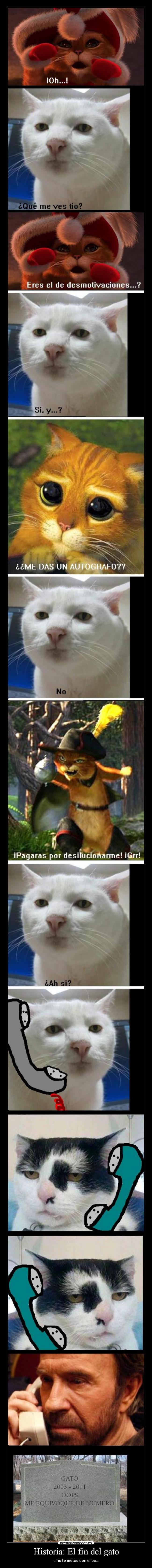 carteles historia gato gato fin del gato historia pobre gatosd gatosde sherk sherk walt_k desmotivaciones