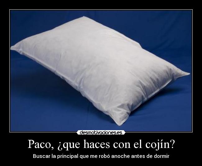 Paco, ¿que haces con el cojín? - Buscar la principal que me robó anoche antes de dormir