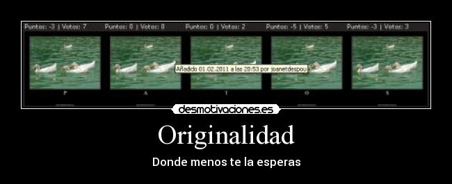 Originalidad - Donde menos te la esperas