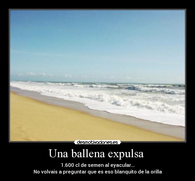 Una ballena expulsa  - 1.600 cl de semen al eyacular...
No volvais a preguntar que es eso blanquito de la orilla
