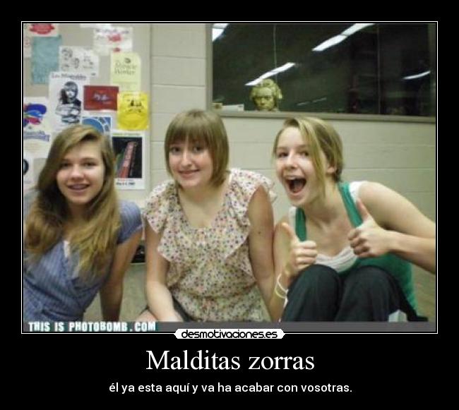 Malditas zorras - 