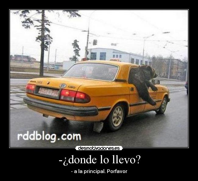 -¿donde lo llevo? - - a la principal. Porfavor