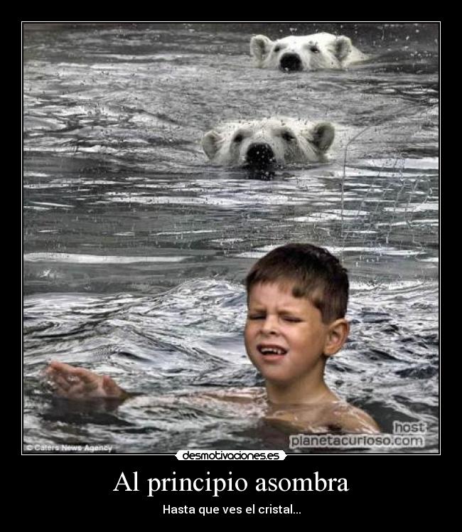 Al principio asombra -