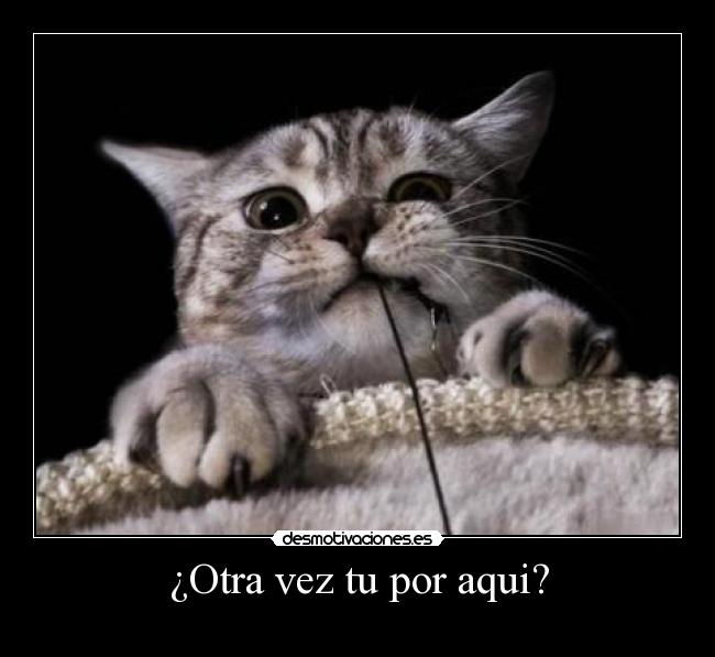 ¿Otra vez tu por aqui? -
