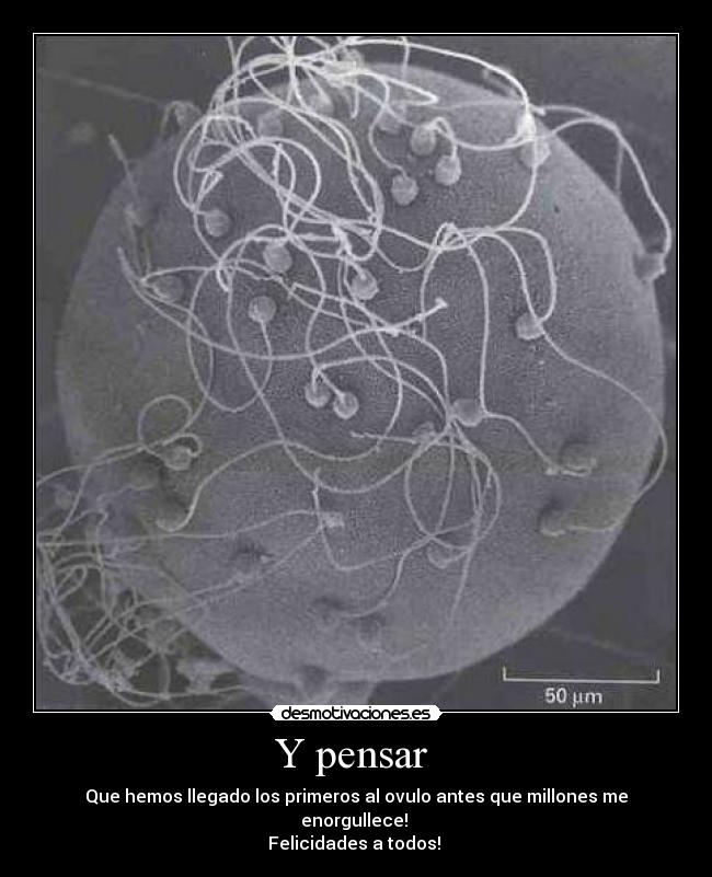 Y pensar -