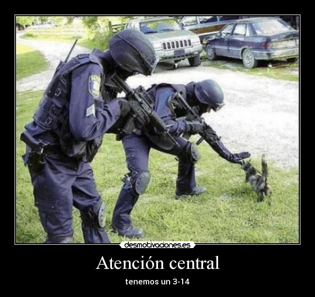 carteles gato swat desmotivaciones