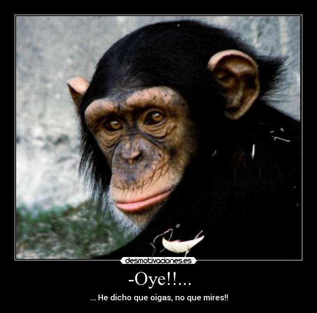 -Oye!!... - 