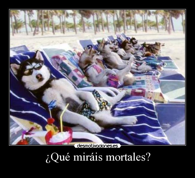 ¿Qué miráis mortales? - 