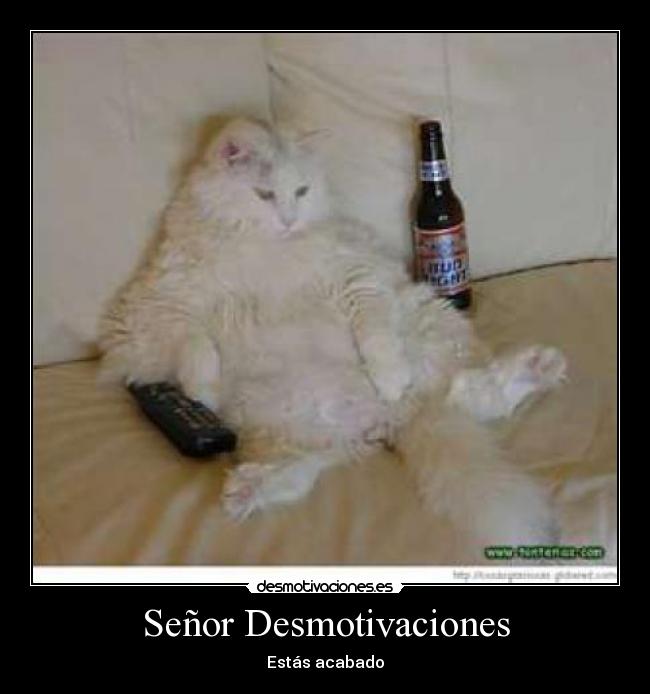 carteles desmotivaciones borracho desmotivaciones