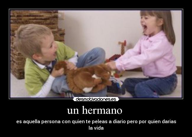 un hermano  - es aquella persona con quien te peleas a diario pero por quien darias la vida