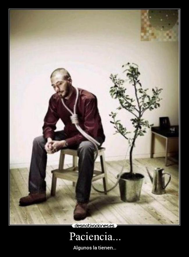 Paciencia... -
