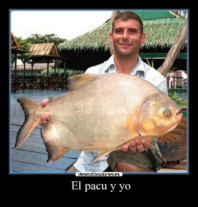  El pacu y yo - 