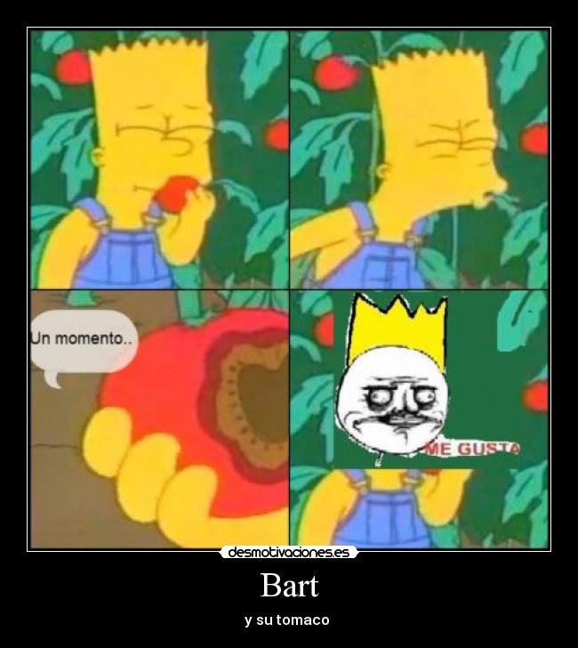 Bart - y su tomaco 
