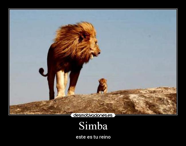 Simba - 