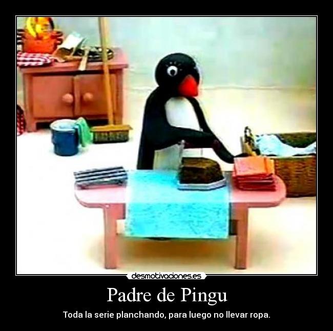 Padre de Pingu -